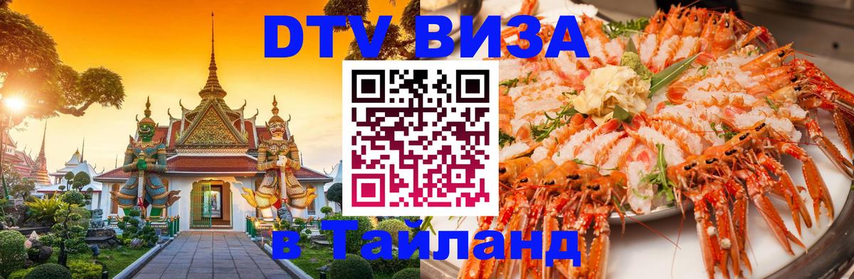 Оформление DTV визы под ключ: стоимость и тарифы, только загранпаспорт - 